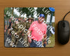 Evenement foto: Nijmeegse Vierdaagse 672