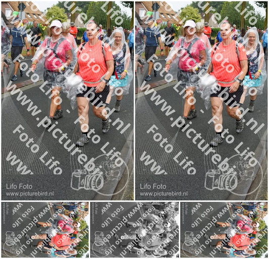 Evenement foto: Nijmeegse Vierdaagse 672