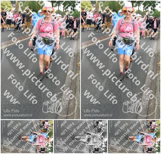 Evenement foto: Nijmeegse Vierdaagse 672