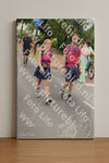 Evenement foto: Nijmeegse Vierdaagse 671