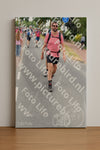 Evenement foto: Nijmeegse Vierdaagse 671