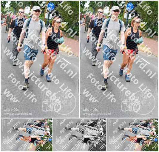 Evenement foto: Nijmeegse Vierdaagse 671