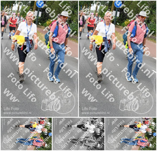 Evenement foto: Nijmeegse Vierdaagse 671