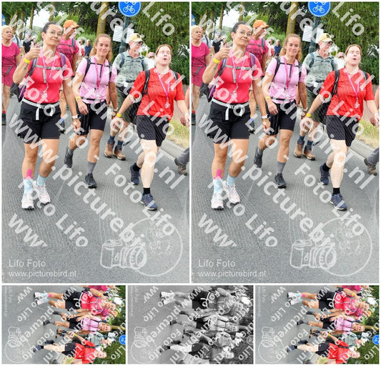 Evenement foto: Nijmeegse Vierdaagse 671