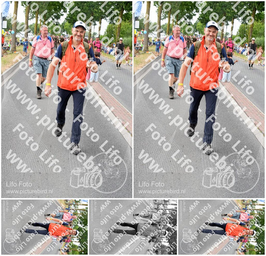 Evenement foto: Nijmeegse Vierdaagse 671