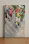 Evenement foto: Nijmeegse Vierdaagse 671