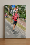 Evenement foto: Nijmeegse Vierdaagse 671