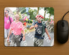 Evenement foto: Nijmeegse Vierdaagse 671