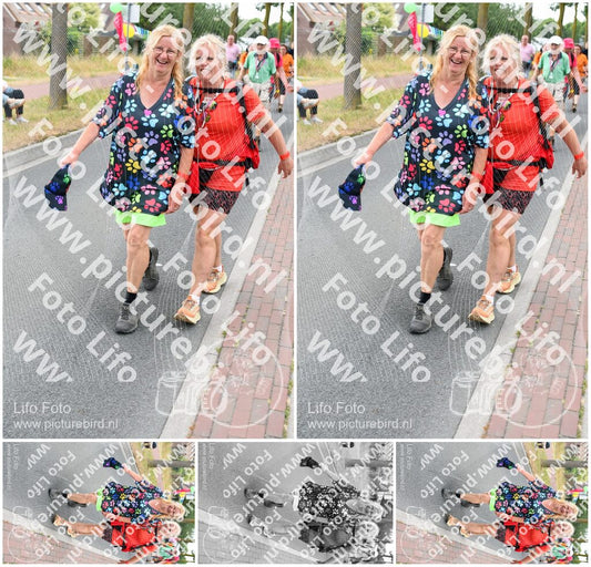 Evenement foto: Nijmeegse Vierdaagse 671