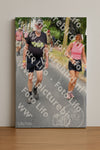 Evenement foto: Nijmeegse Vierdaagse 670