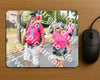 Evenement foto: Nijmeegse Vierdaagse 670