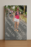 Evenement foto: Nijmeegse Vierdaagse 670