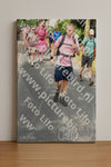 Evenement foto: Nijmeegse Vierdaagse 670