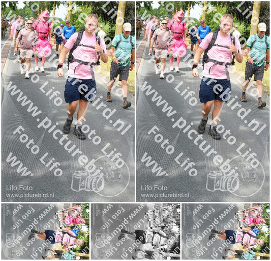 Evenement foto: Nijmeegse Vierdaagse 670