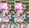 Evenement foto: Nijmeegse Vierdaagse 670