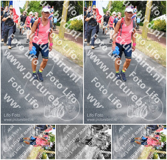 Evenement foto: Nijmeegse Vierdaagse 670