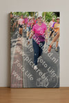Evenement foto: Nijmeegse Vierdaagse 670
