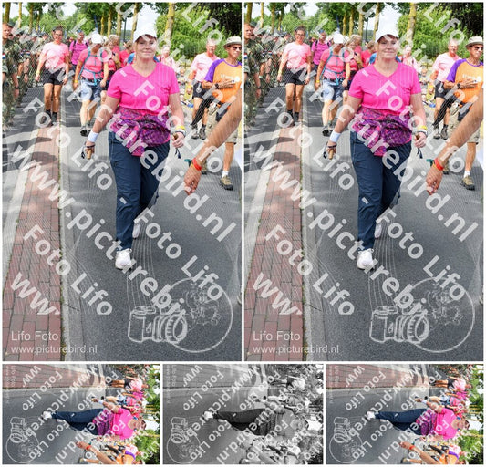 Evenement foto: Nijmeegse Vierdaagse 670