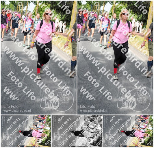 Evenement foto: Nijmeegse Vierdaagse 670