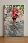 Evenement foto: Nijmeegse Vierdaagse 670