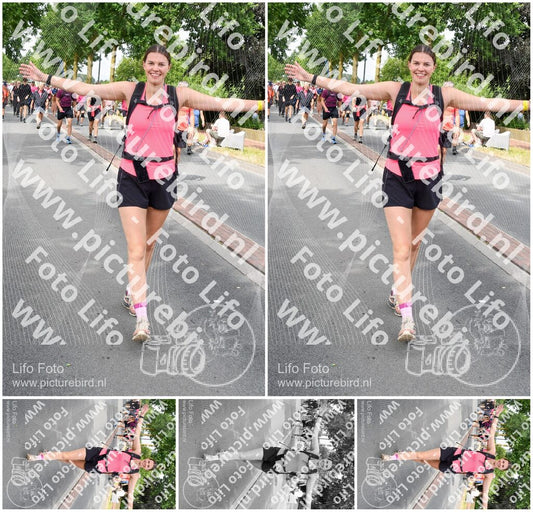 Evenement foto: Nijmeegse Vierdaagse 670