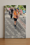 Evenement foto: Nijmeegse Vierdaagse 670