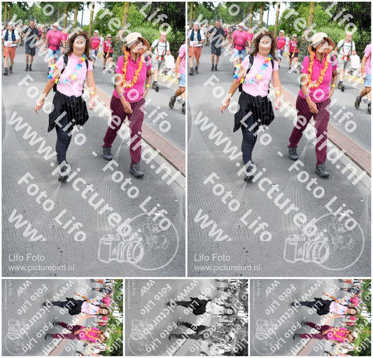 Evenement foto: Nijmeegse Vierdaagse 670