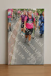Evenement foto: Nijmeegse Vierdaagse 670