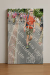 Evenement foto: Nijmeegse Vierdaagse 670