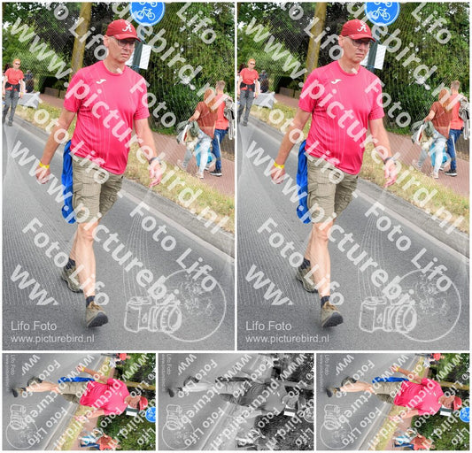 Evenement foto: Nijmeegse Vierdaagse 670