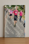 Evenement foto: Nijmeegse Vierdaagse 670