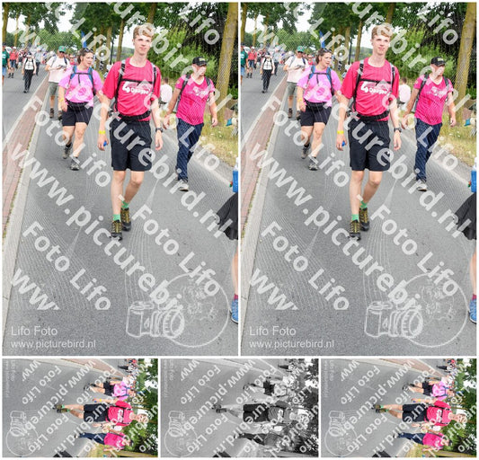 Evenement foto: Nijmeegse Vierdaagse 670
