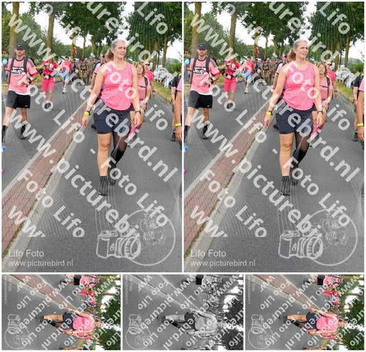 Evenement foto: Nijmeegse Vierdaagse 670