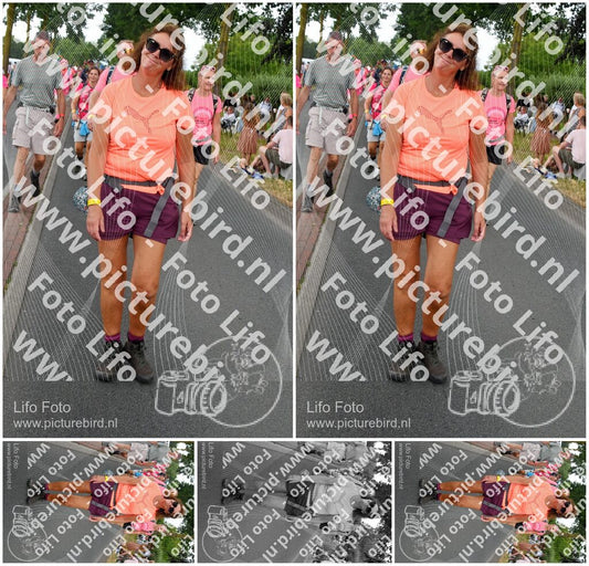 Evenement foto: Nijmeegse Vierdaagse 670