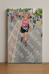 Evenement foto: Nijmeegse Vierdaagse 670