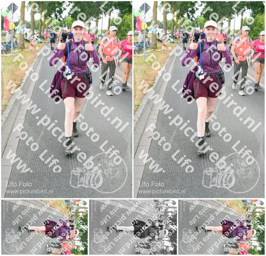 Evenement foto: Nijmeegse Vierdaagse 670