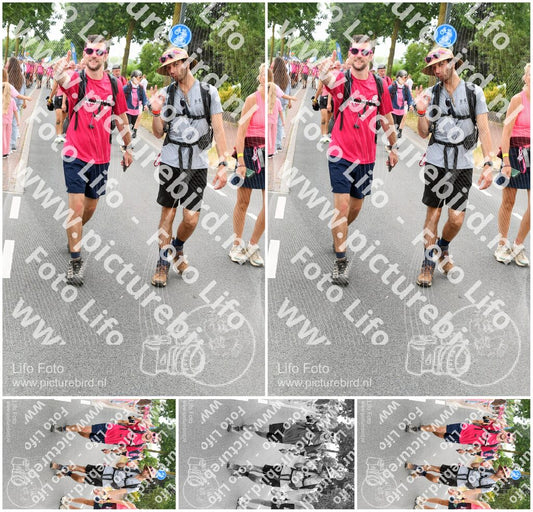 Evenement foto: Nijmeegse Vierdaagse 670