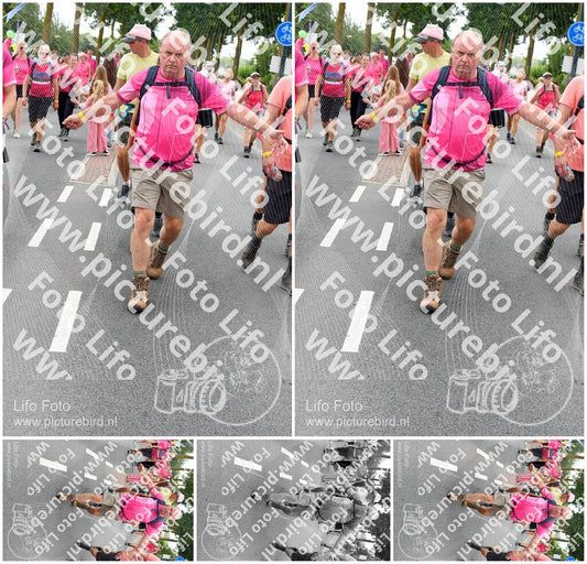 Evenement foto: Nijmeegse Vierdaagse 670
