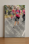 Evenement foto: Nijmeegse Vierdaagse 670
