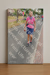 Evenement foto: Nijmeegse Vierdaagse 669