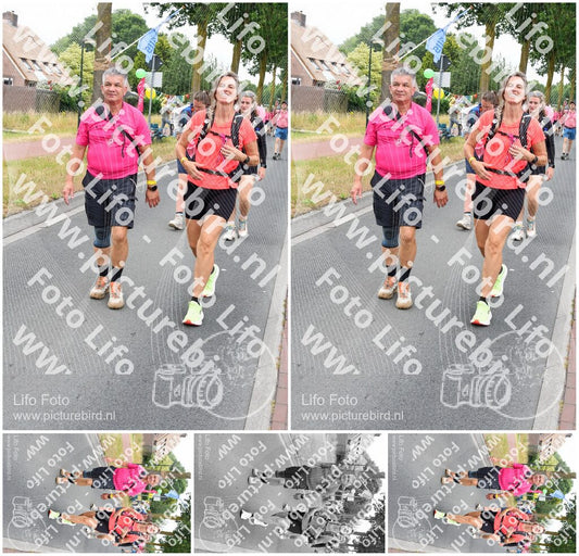 Evenement foto: Nijmeegse Vierdaagse 669