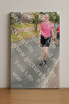 Evenement foto: Nijmeegse Vierdaagse 669