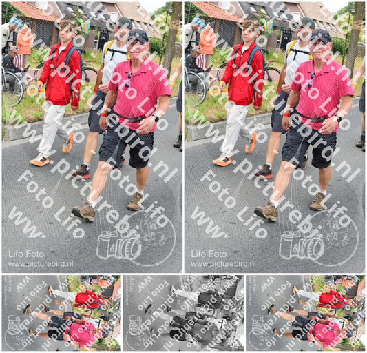 Evenement foto: Nijmeegse Vierdaagse 669