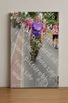 Evenement foto: Nijmeegse Vierdaagse 669