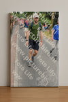 Evenement foto: Nijmeegse Vierdaagse 669