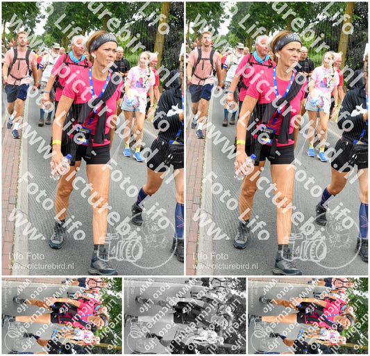 Evenement foto: Nijmeegse Vierdaagse 669