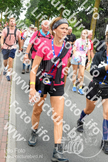 Evenement foto: Nijmeegse Vierdaagse 669