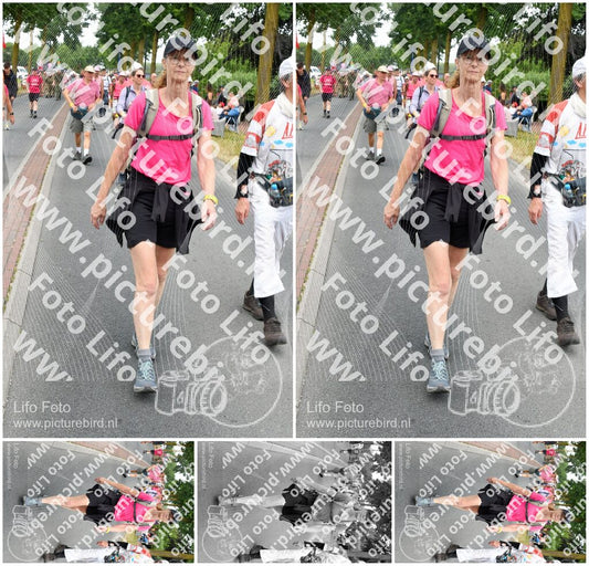 Evenement foto: Nijmeegse Vierdaagse 669