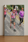 Evenement foto: Nijmeegse Vierdaagse 669