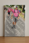 Evenement foto: Nijmeegse Vierdaagse 669